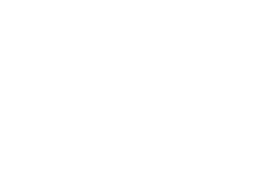 The Great Bustard